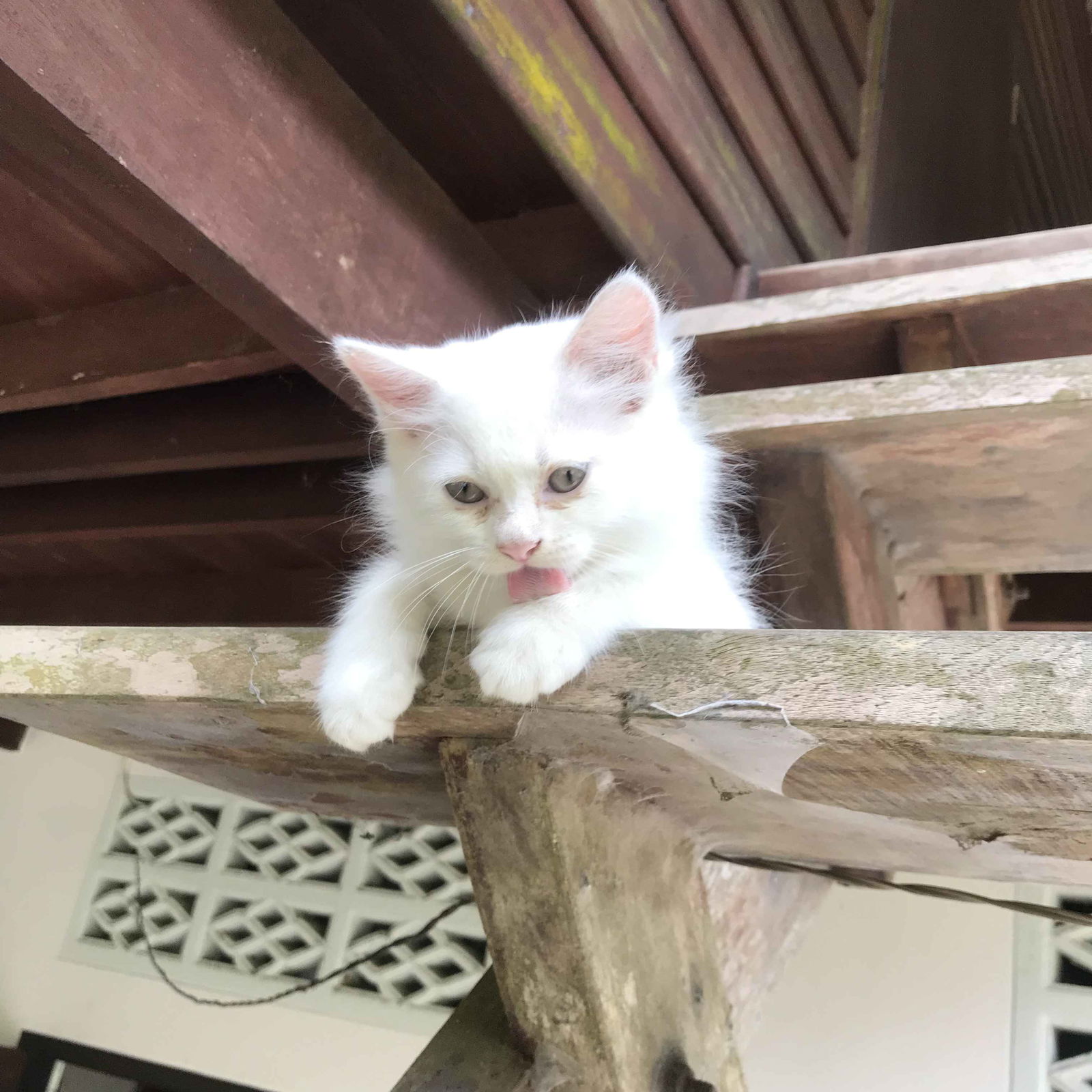 First daughter ❤️ profile icon