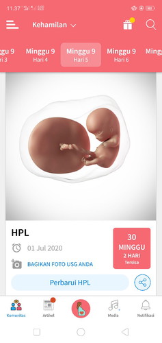 Hpl