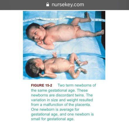 DR IMELDA BALCHIN  'KENAPA CAESAR? '