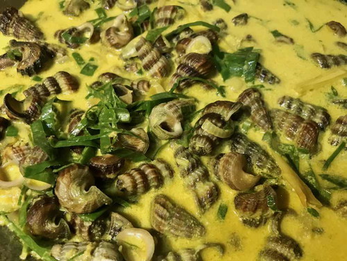 boleh makan kan? pregnant 3m+