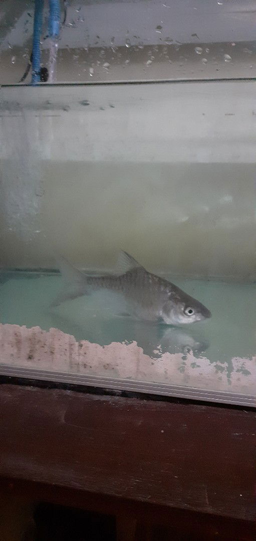 renita whinie profile icon