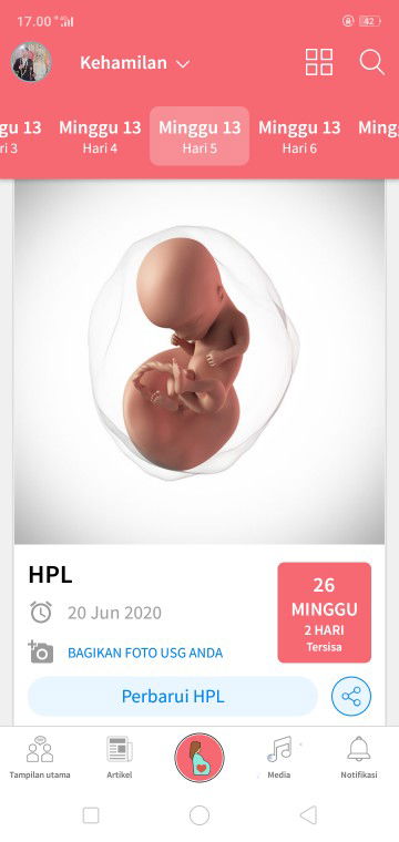 kehamilan
