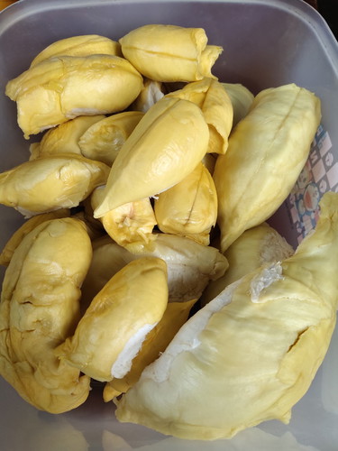ทุเรียน