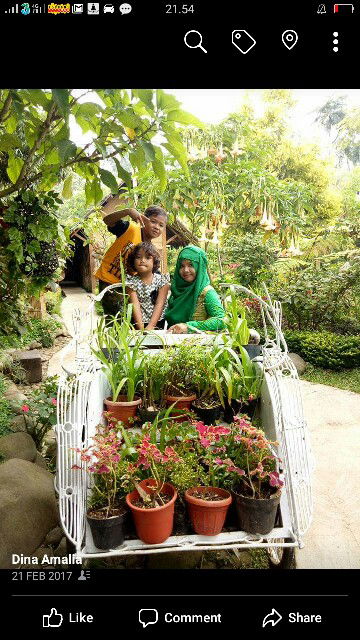 dina amalia profile icon