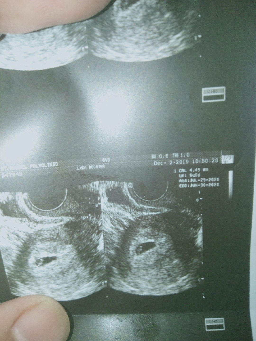 Ma. Isabella profile icon