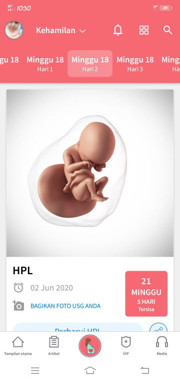 seputar kehamilan