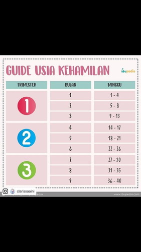 Usia kehamilan
