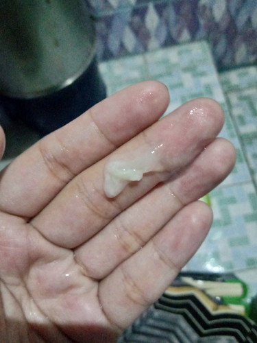 did i lost a bit of my mocus plug?