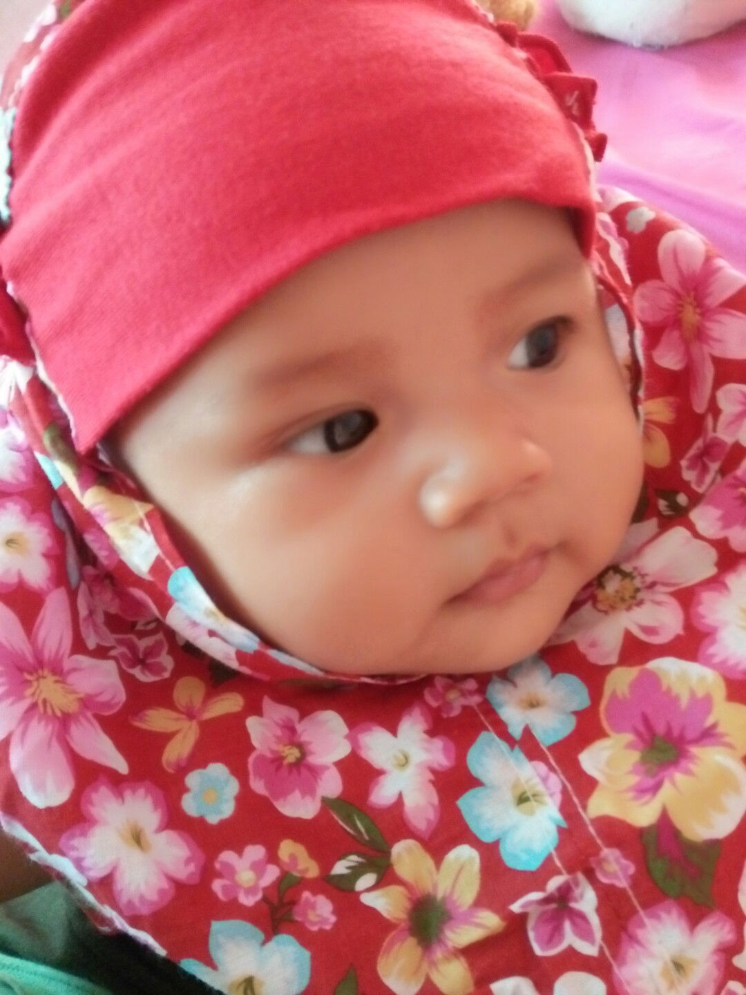 tidak mau nyusu badan