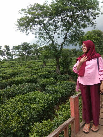 Rahayu Dwi profile icon