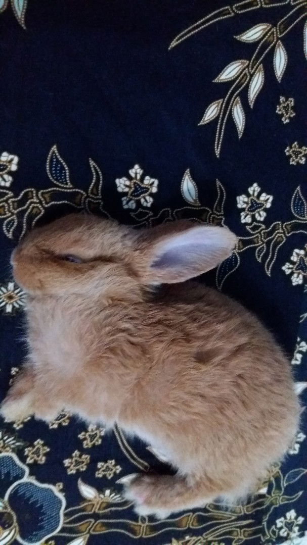 ♥Ibu To Aisyah♥ profile icon