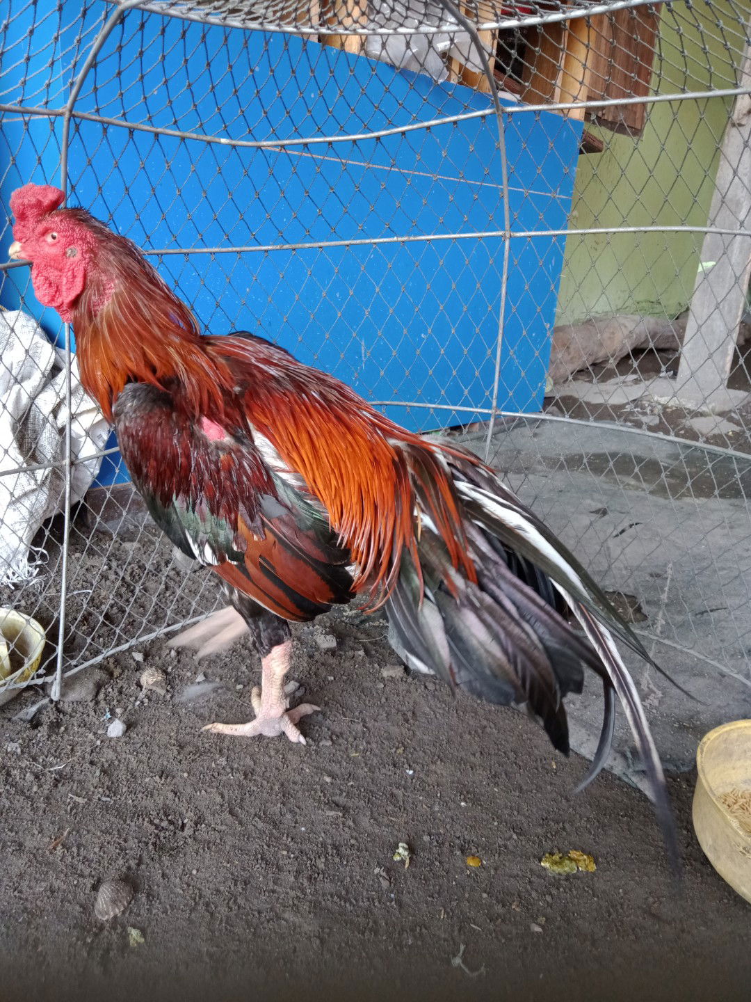 น้องไอริณ profile icon