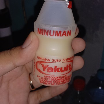 yakult