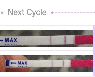 OPK
