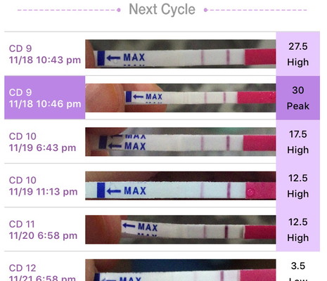 OPK test