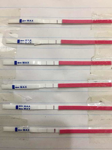 OPK