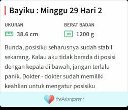 hamil 7 bulan
