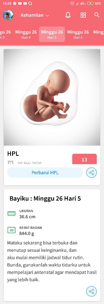 hamil