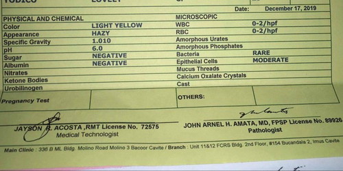 Urinalysis Result