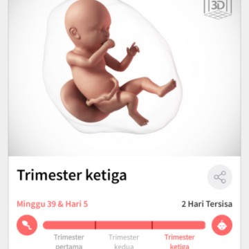 menjelang persalinan