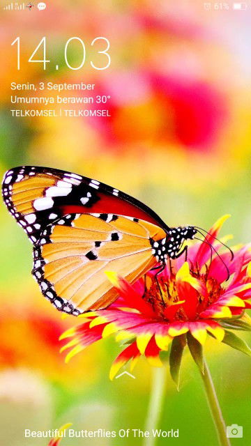 Talluzza profile icon