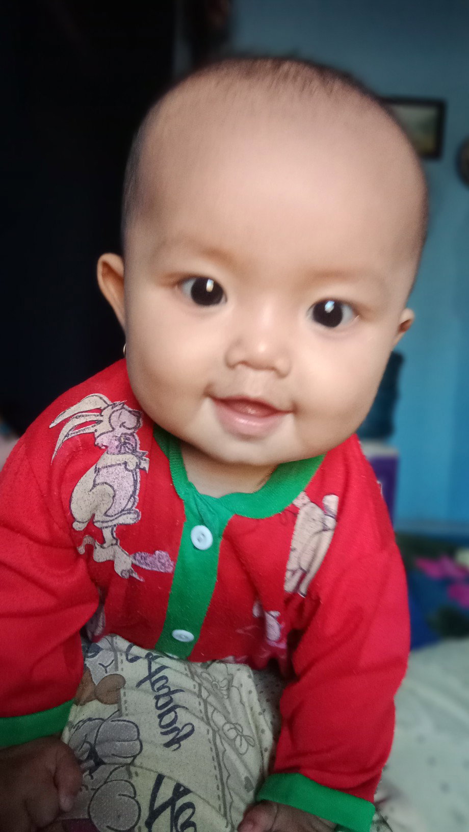 kasih makan atau tidak