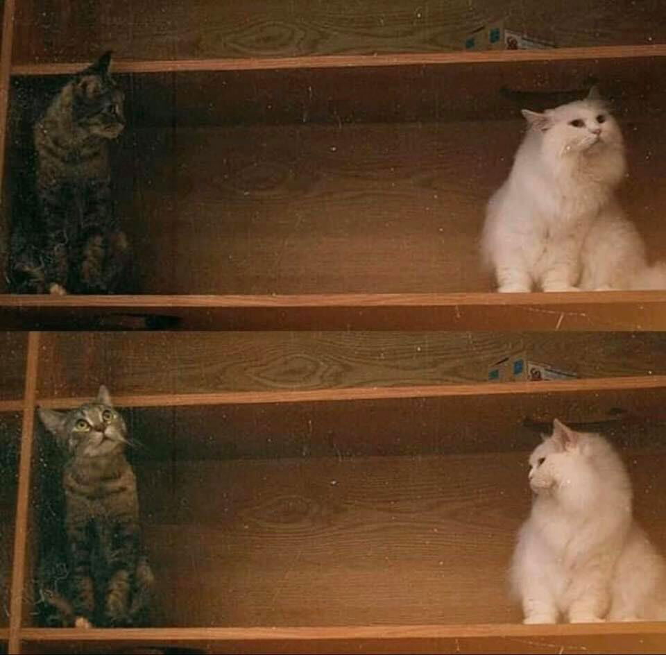 Natthida profile icon