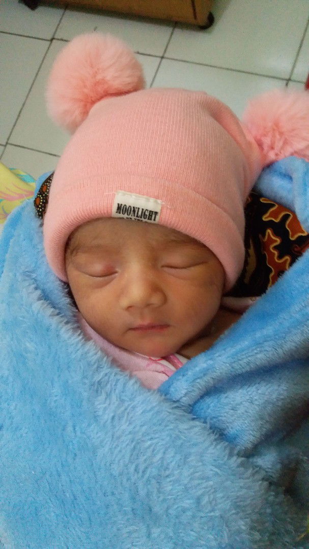 hpl 15 mei launching 7 mei