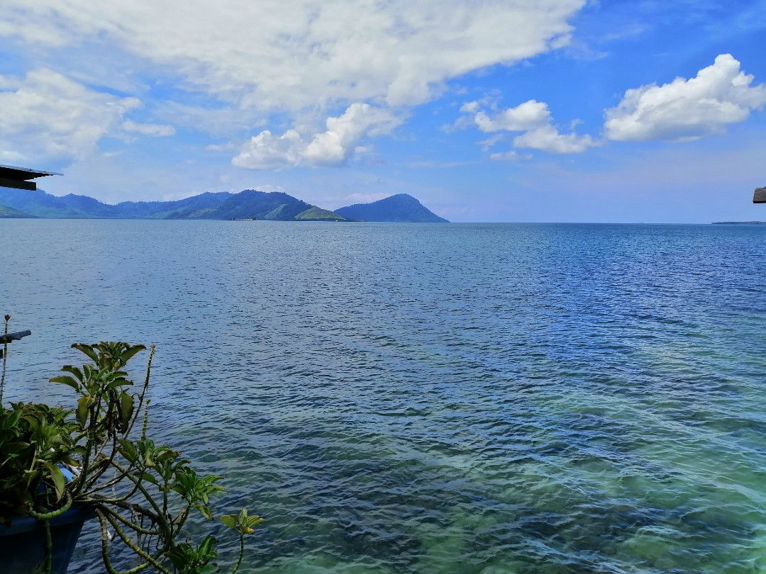 Mohd Irfan Husni profile icon