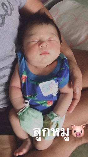 ลูกหมู55555555