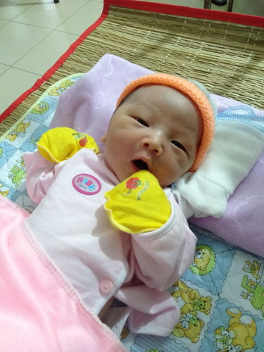 chuột