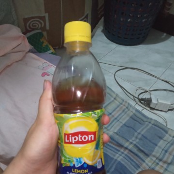 lipton