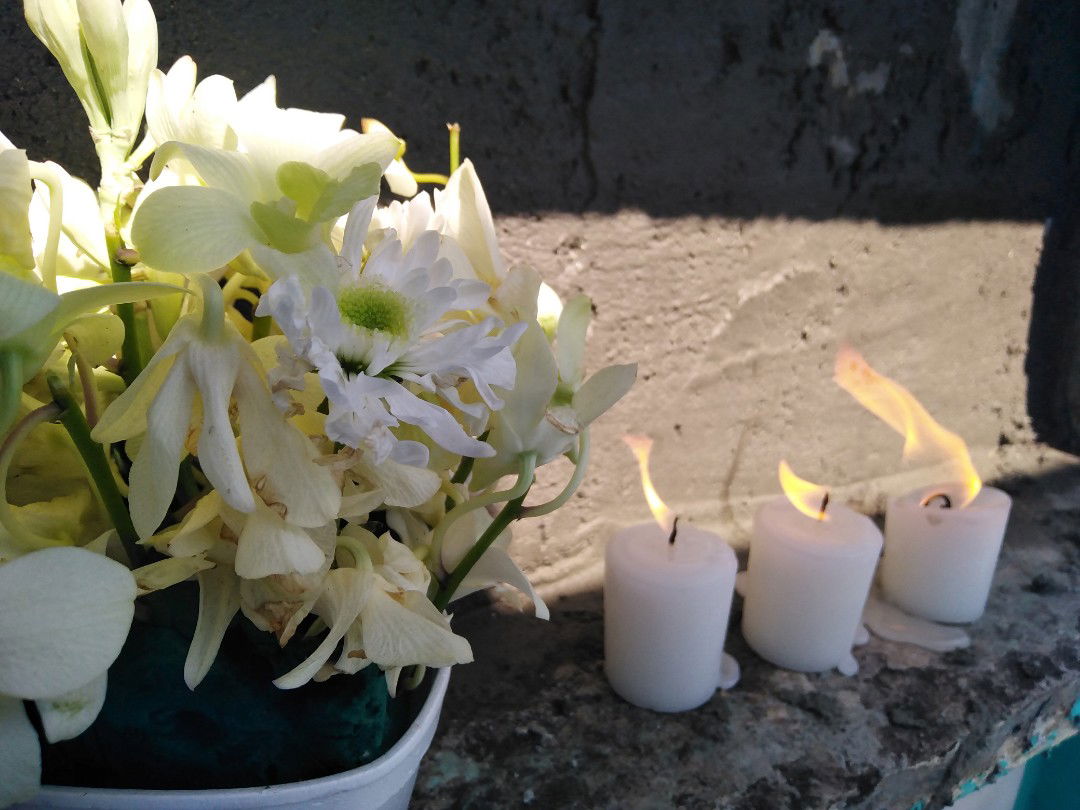 Angel Phoenix profile icon