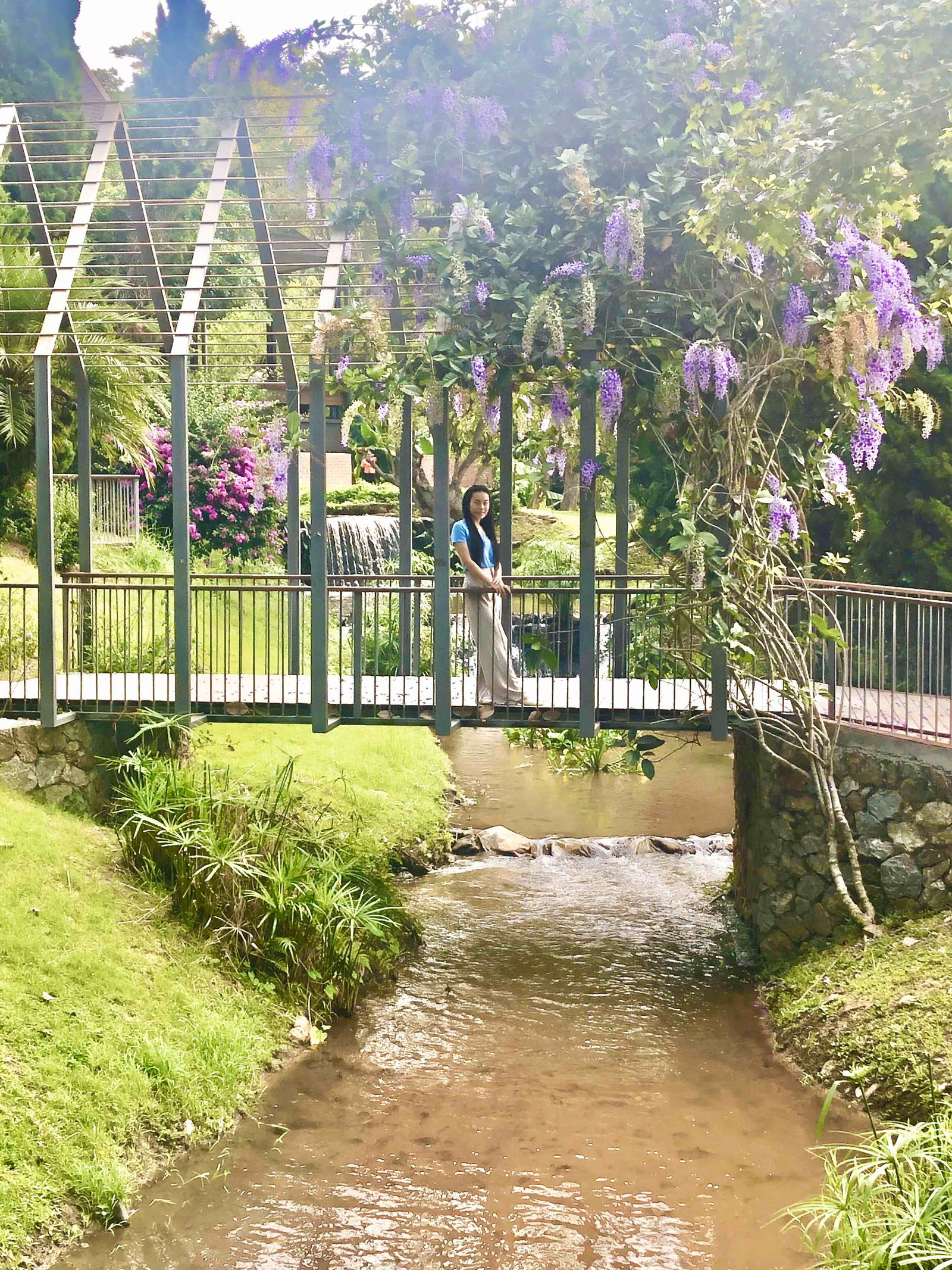 Nattaya profile icon