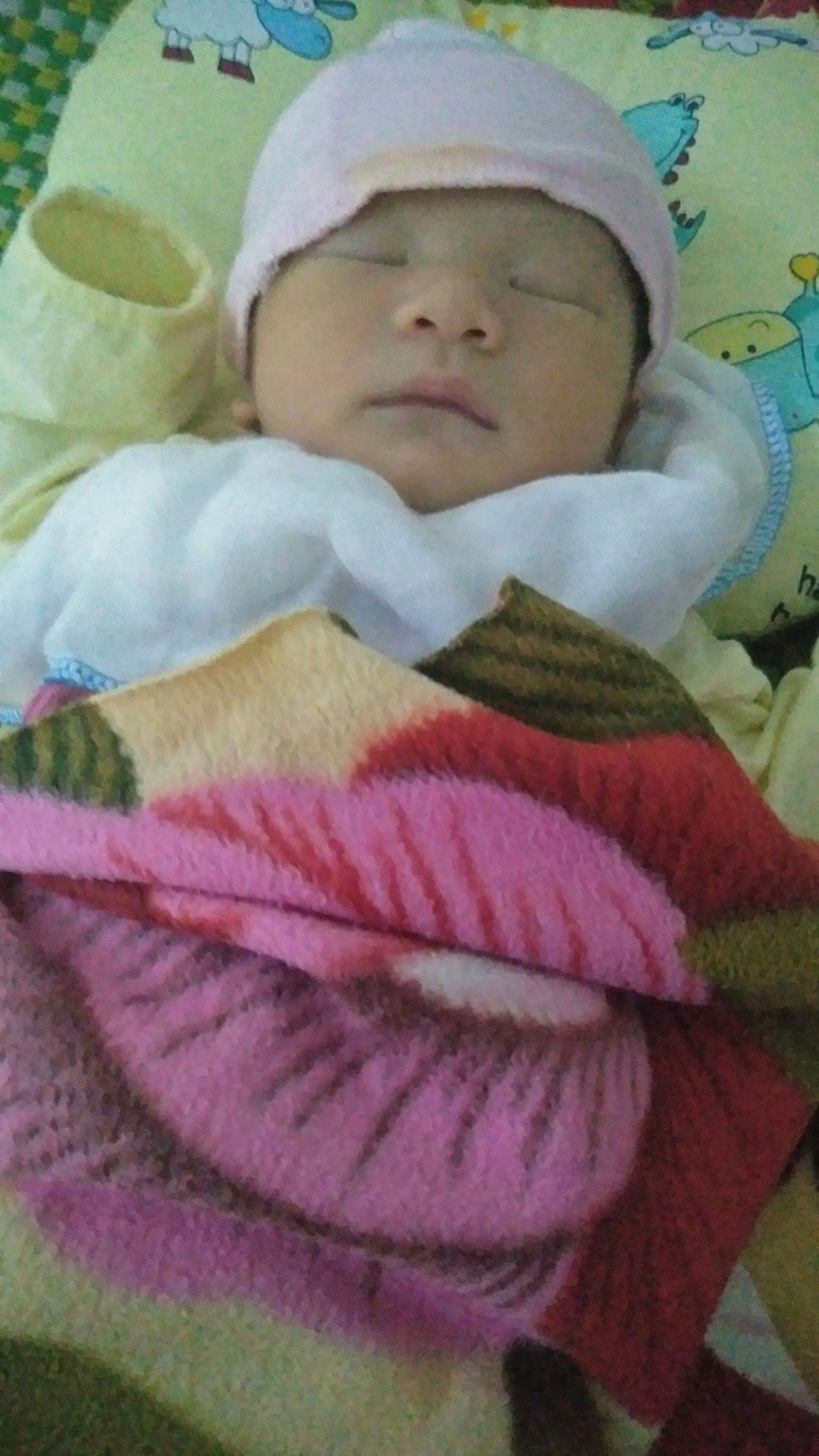 Lê Thị Vân profile icon