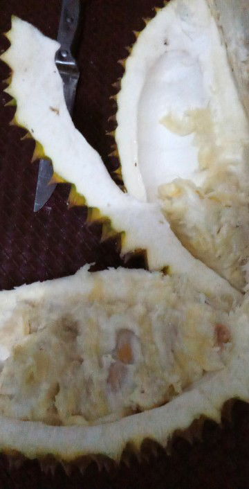 durian