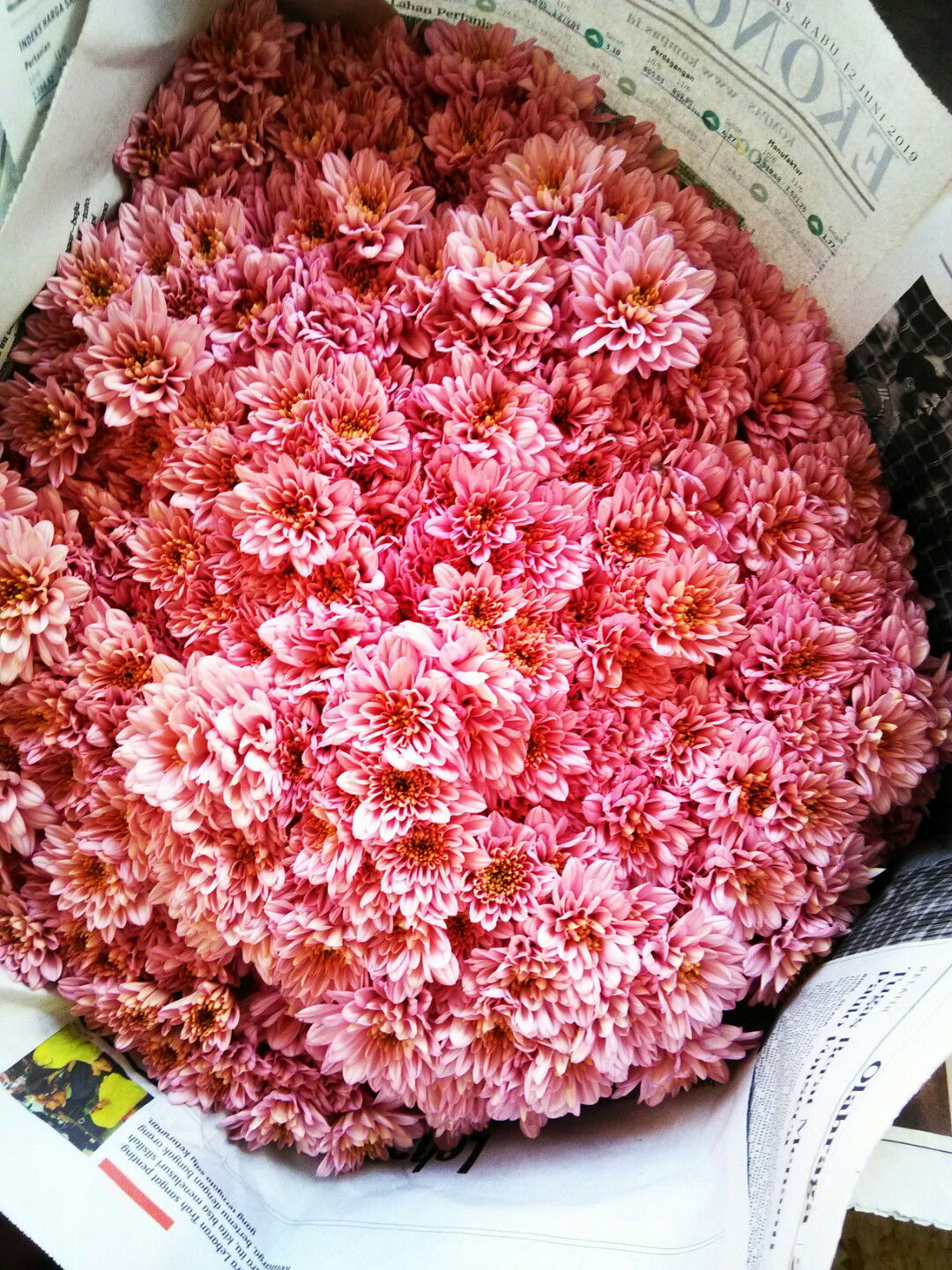 Ayu Diana profile icon