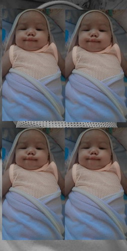 ข้าวหอมของแม่