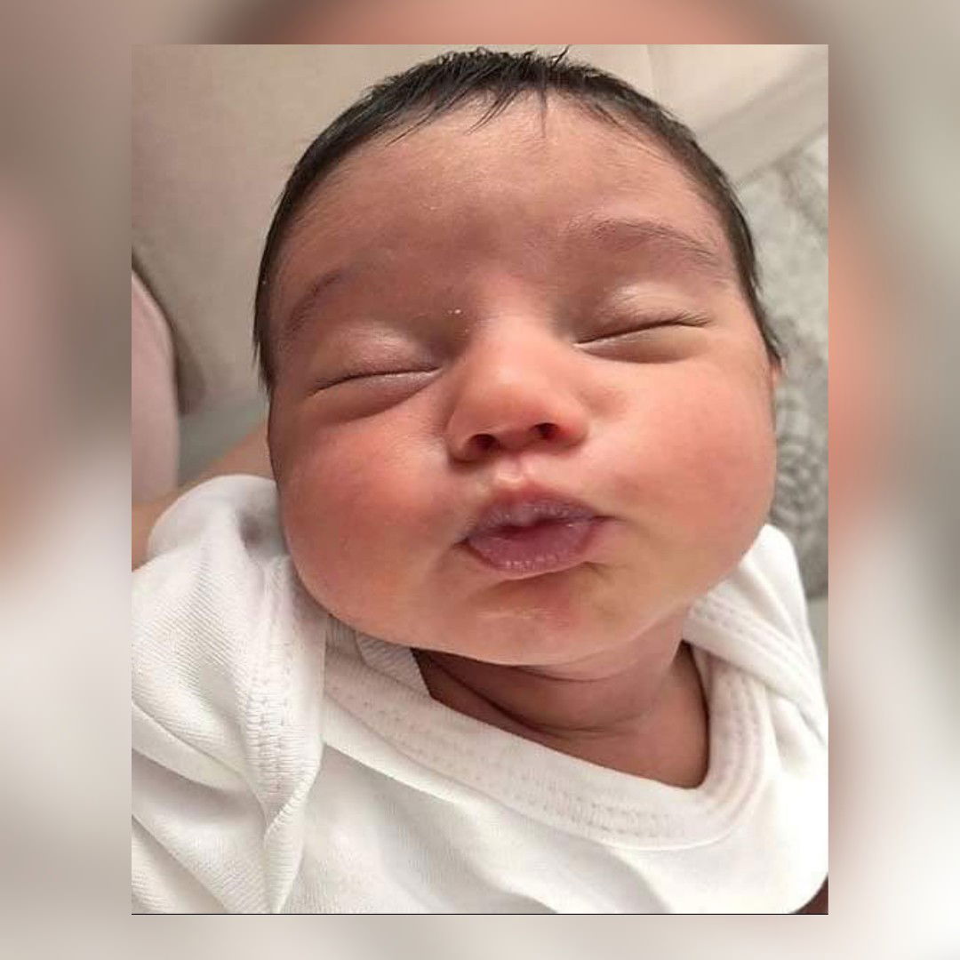 Little Panda profile icon