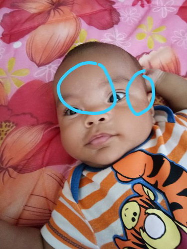 Panau ke ni?