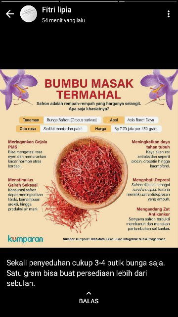 safron/putik bunga safron