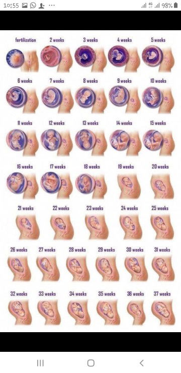 mama gojes profile icon