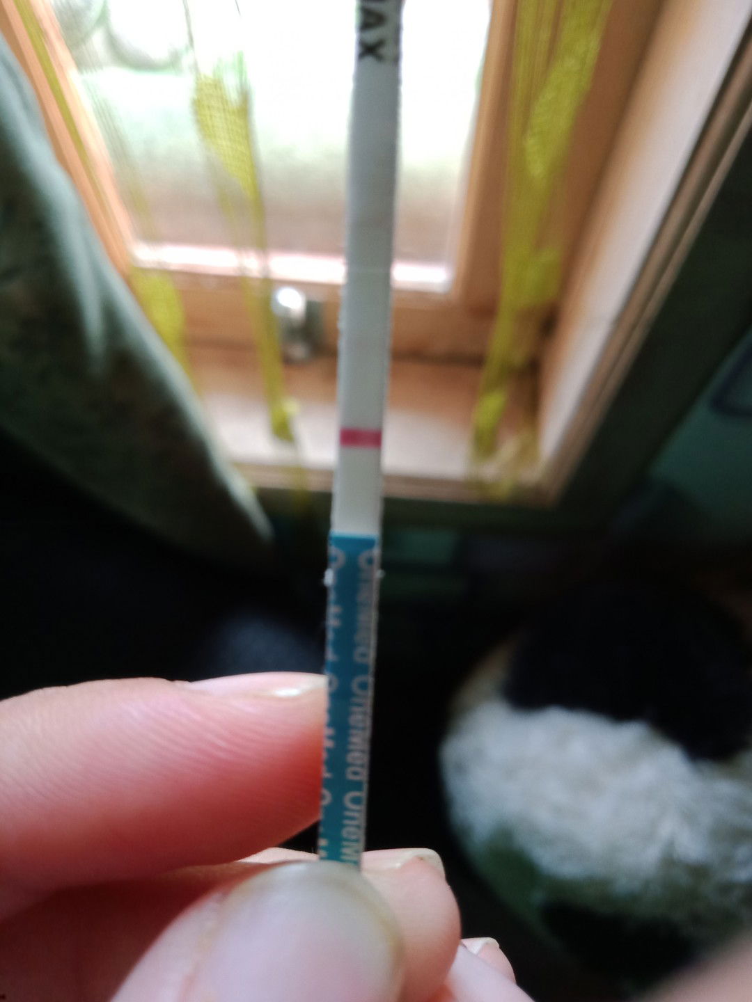 kantong hamil ada tapi negatif