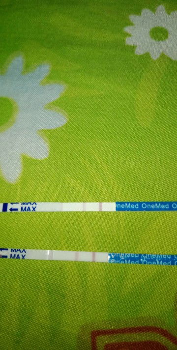 apakah ini positif hamil?