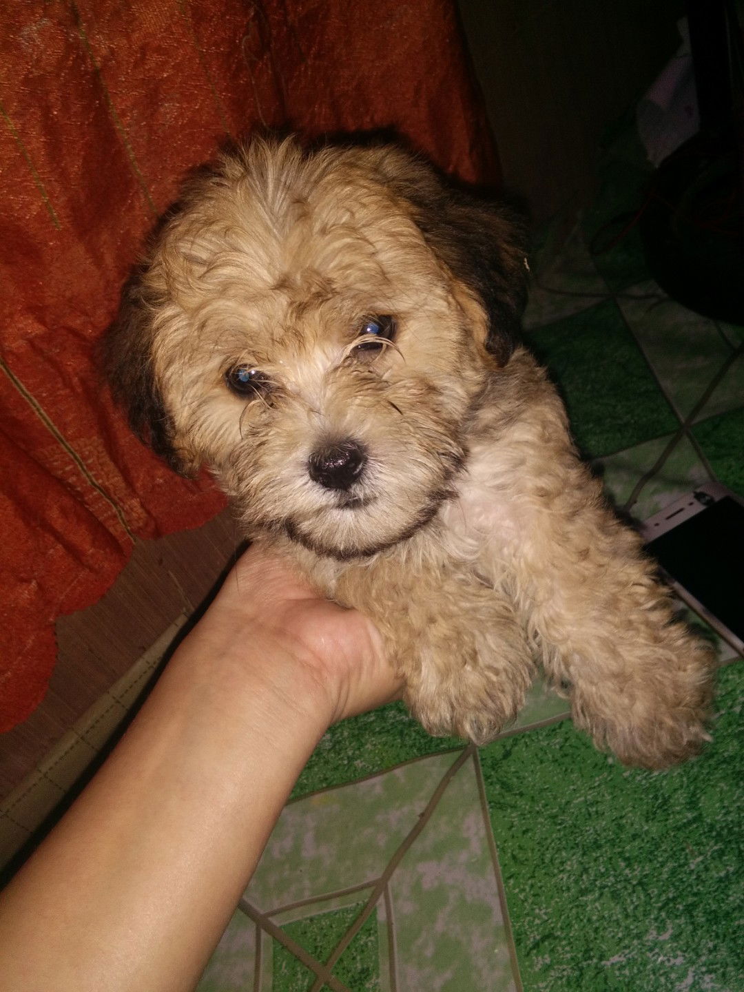 Sangkay18 profile icon