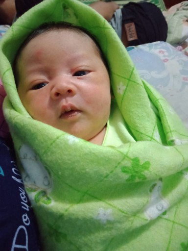 Hpl Maret