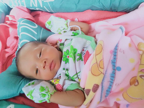 น้องกาฟิวด์