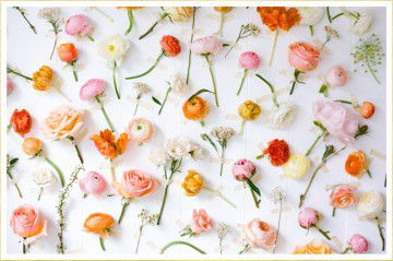 humaira profile icon