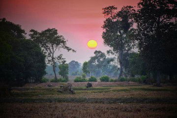 thawinan profile icon