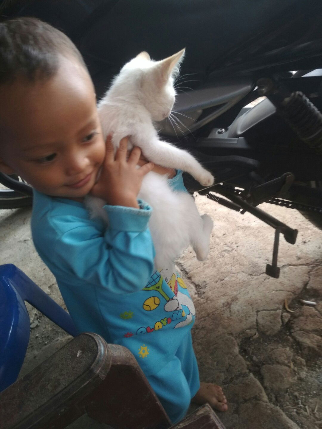 si kecil sayang hewan